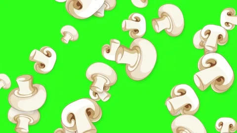 Animated White Button Mushrooms Falling on Green Screen Background Stock Footage 345294073