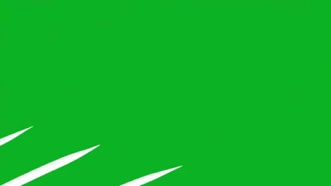 Animated White Chalk Grid Line Pattern Transition Green Screen Stock Footage 343247755