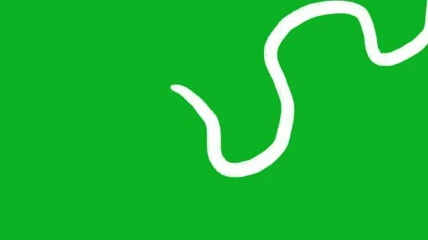 Animated White Chalk Single Wavy Line Doodle Green Screen 스톡 동영상 343247964