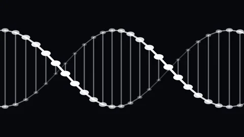 Animated White DNA Helix on Black Background Video stock 341776790
