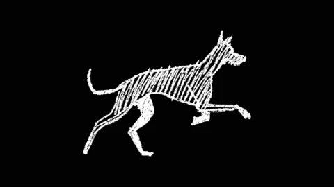 Animated white dog flat icon. Hand drown running dog. Chalk drawn puppy  Stock Footage 165957932
