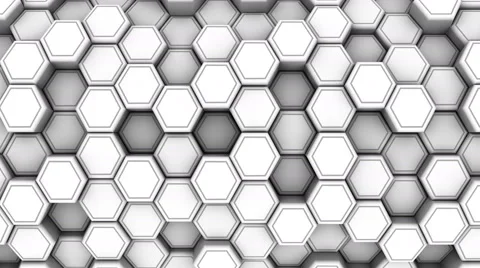 Animated White Honeycombs Stock Footage 66395078