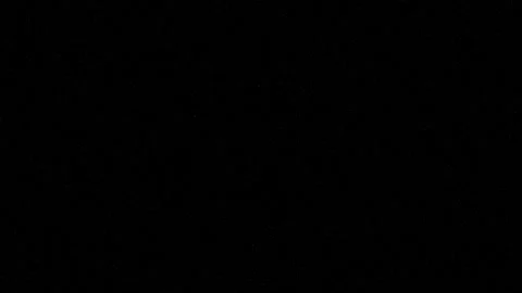 Animated white particles and specks twinkle on a black background. Stock Footage 319663454