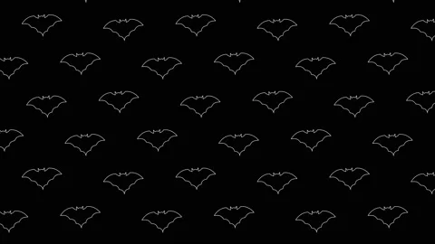 Animated white thin line bat silhouettes pattern on a black background Stock Footage 161340805