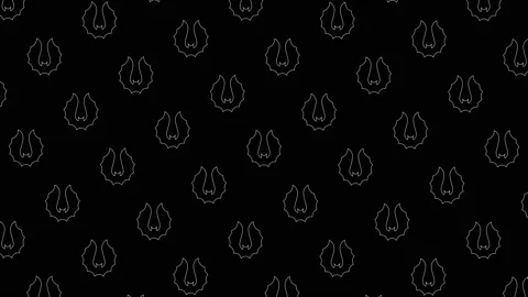 Animated white thin line bat silhouettes pattern on a black background Stock Footage 162323837