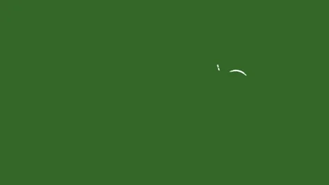Animated Wind and Swish Elements Green Screen – Hand Drawn Speed Lines FX Stock Footage 330467377