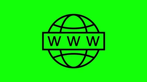 Animated world wide web globe icon with www text on green screen background Stock Footage 330397534