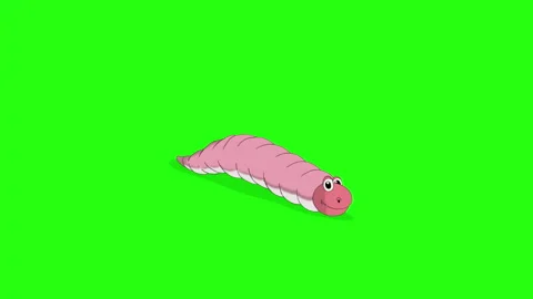 Animated worm crawling across the screen (chroma key) Stock Footage 147036467