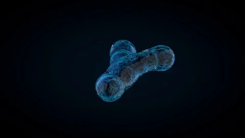 Animated XY-chromosomes on dark background. 3D rendering Stock Footage 79477261