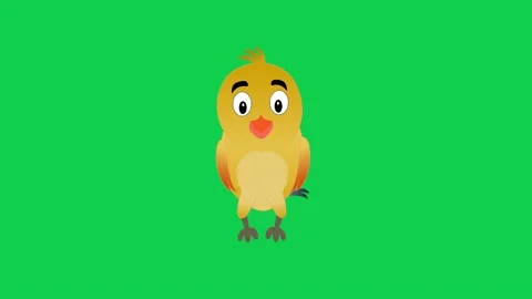 Animated yellow chick on green screen perfect for farm animation Stock-Footage 309099510