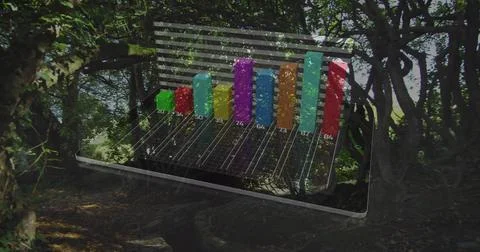 Animating bar graph over forest background with sunlight filtering through trees Stock Photos