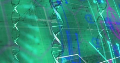 Animating DNA double helix strands rotating in lab simulation with network nodes Foto stock
