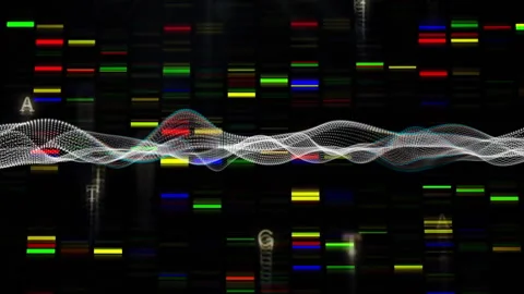 Animating DNA sequencing over colorful genetic code bars Stock Footage 303877846