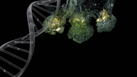 Animating DNA strand over broccoli submerged in water 库存影片 303877488