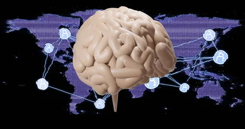 Animating global network connections over brain model Stock Footage 304021269