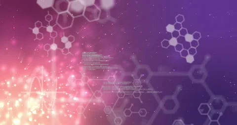 Animating hexagonal molecular structures and coding data over purple and pink Video stock 328942863