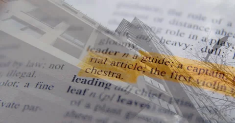 Animating highlighted dictionary text on building exterior Video stock 304102520