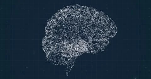 Animating right-side brain hemisphere floating in virtual grid space, wireframe 스톡 사진