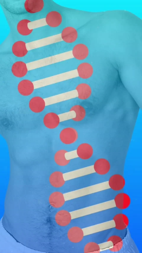 Animation of 3d dna strands spinning over white midsection of naked man Stock Footage 320759281