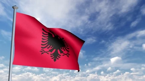 Animation of 3D Flag 스톡 동영상 89998775