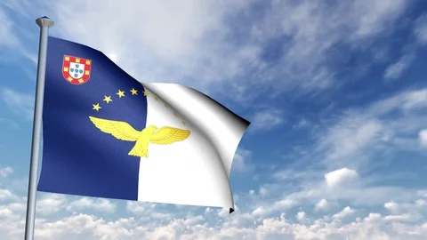 Animation of 3D Flag 스톡 동영상 89998930