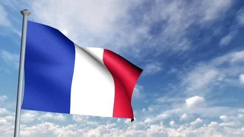 Animation of 3D Flag 스톡 동영상 89999008