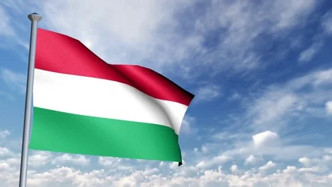 Animation of 3D Flag Stock Footage 89999184