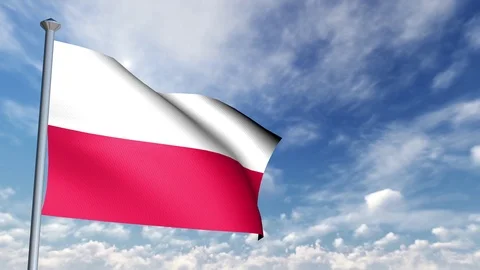 Animation of 3D Flag Stock Footage 89999226