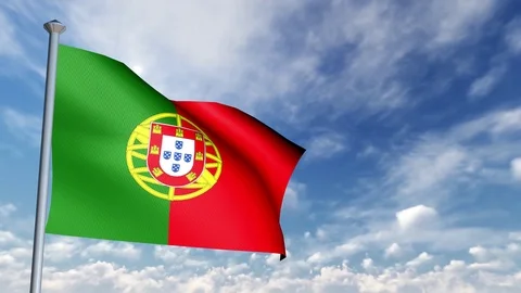 Animation of 3D Flag Stock Footage 89999239