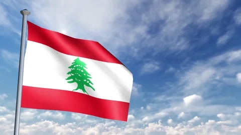 Animation of 3D Flag 스톡 동영상 90264223