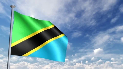 Animation of 3D Flag 스톡 동영상 90264339