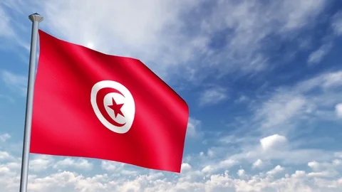 Animation of 3D Flag Stock-Footage 90264349