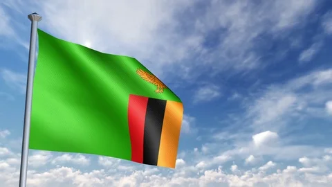 Animation of 3D Flag Stock Footage 90264359