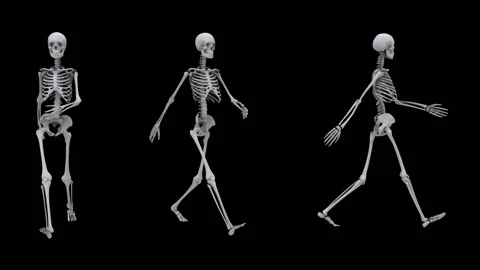 Animation 3d model of the skeleton with alpha channel Stock Footage 93609396
