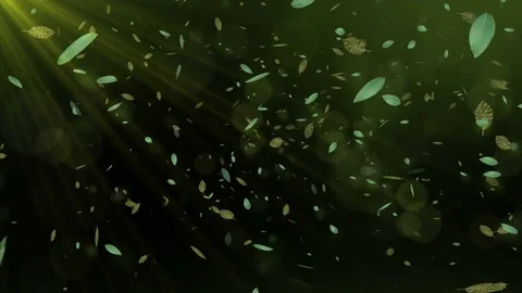 Animation 3d tree leaves floating in forest sunlight background pattern 4k Stock Footage 71969093