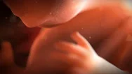 Animation Of 8 Week Unborn Stock Footage