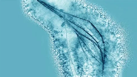 Animation of abstract ice formation with blue tones on black background 動画素材 302480210