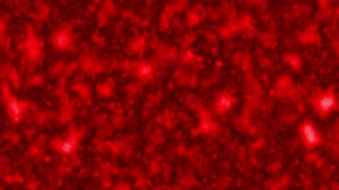 Animation abstract loop colored motion background texture art design video 스톡 동영상 251735821