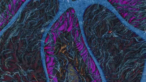 Animation abstract loop colored motion background texture art design video Stock-Footage 251735879