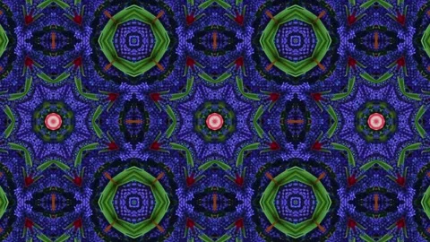 Animation abstract loop colored motion background texture art design video 스톡 동영상 255508750