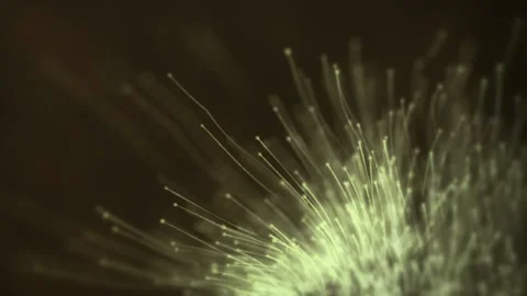 Animation of Abstract Macro Microscopic Mushroom Plants Slowly Growing Video stock 143194202