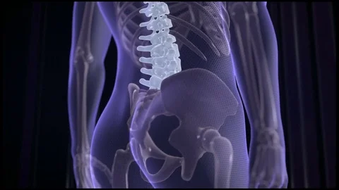 Animation of abstract particles that cure back pain. Focused on spine. Stock Footage 80636118