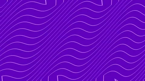 Animation of abstract purple line background set Stock Footage 277028166