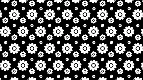 Animation of abstract white flower pattern on black background Stock Footage 268371587