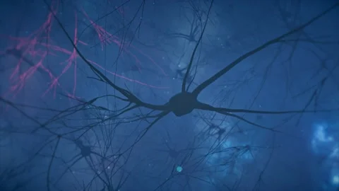 Animation of the activity of neurons and synapses. Neural connections in outer Vidéo 149587381