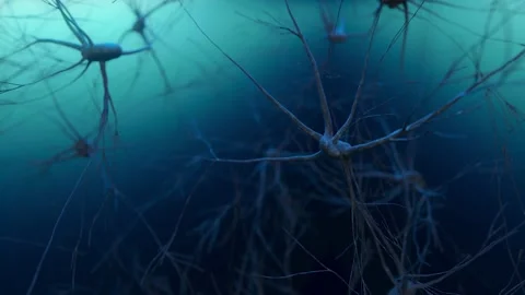 Animation of the activity of neurons and synapses. Neural connections in outer Video stock 149587951
