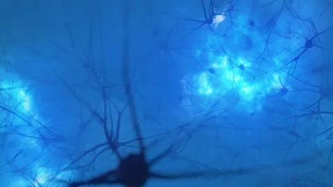 Animation of the activity of neurons and synapses. Neural connections in outer Stock Footage 149588106