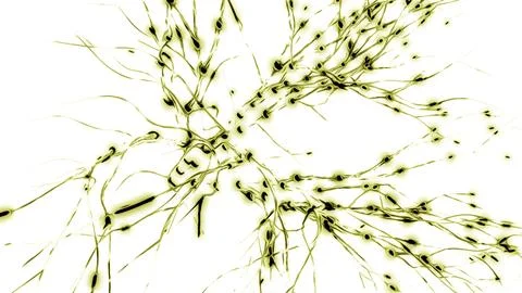 Animation of the activity of neurons and synapses. Design. Electrical impulses Stock Illustration