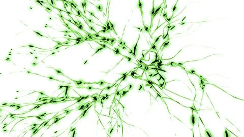 Animation of the activity of neurons and synapses. Design. Electrical impulses Stock Illustration