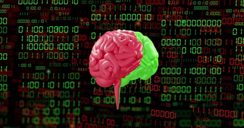 Animation of ai text, brain and binary coding data processing over dark Stock Footage 265953146